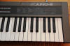 Roland Alpha Juno-2